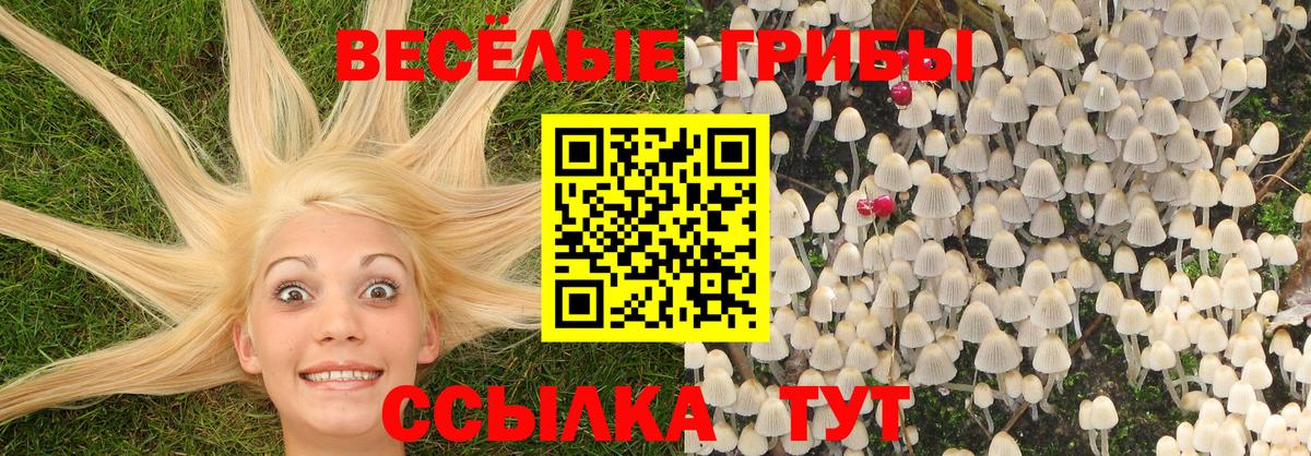 Псилоцибиновые грибы мицелий  Вход с VPN  Владивосток 